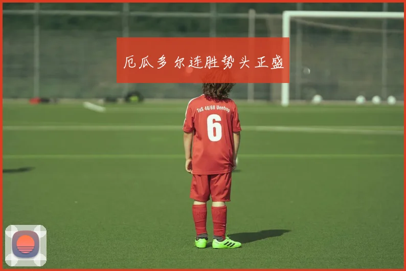 厄瓜多尔连胜势头正盛