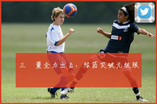 三笘薰全力出击,绿茵突破无极限