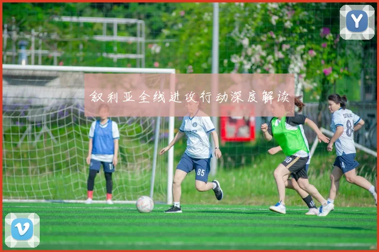 叙利亚全线进攻行动深度解读
