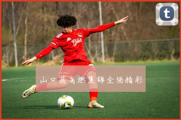 山口茜高燃集锦全场精彩