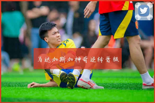 马达加斯加神奇逆转晋级
