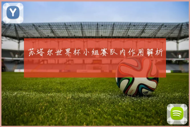 苏塔尔世界杯小组赛队内作用解析