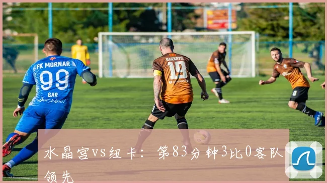 水晶宫vs纽卡：第83分钟3比0客队领先
