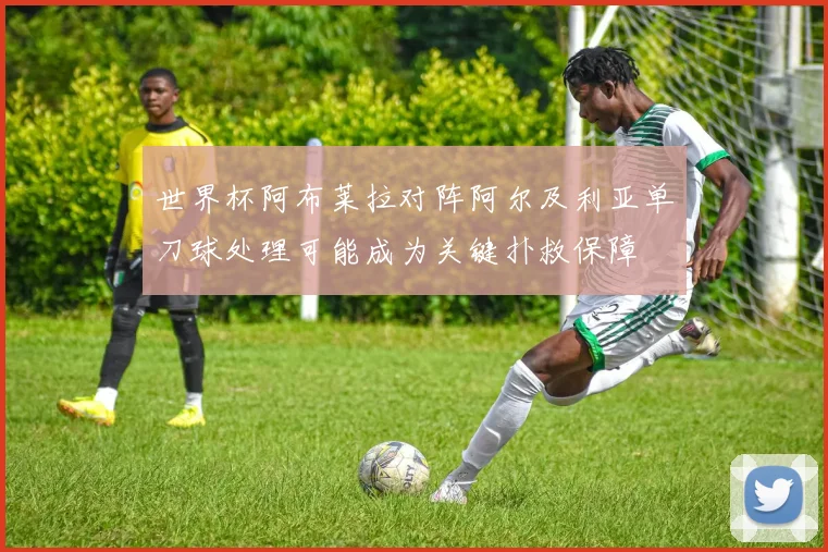 世界杯阿布莱拉对阵阿尔及利亚单刀球处理可能成为关键扑救保障