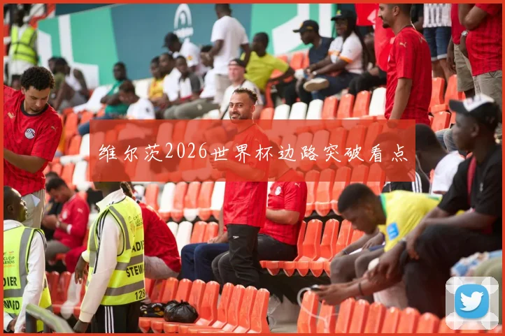维尔茨2026世界杯边路突破看点