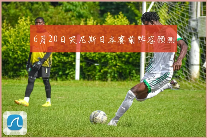 6月20日突尼斯日本赛前阵容预测