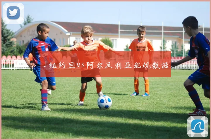 J组约旦vs阿尔及利亚犯规数据