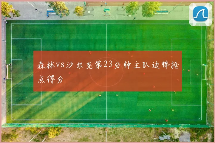 森林vs沙尔克第23分钟主队边锋抢点得分
