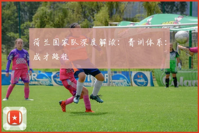 荷兰国家队深度解读:青训体系:成才路径